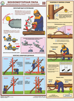 ПС25 Бензомоторная пила. Безопасность работ на лесосеке (пластик, А2, 3 листа) - Плакаты - Безопасность труда - Магазин охраны труда ИЗО Стиль